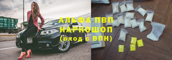 прущие грибы Армянск