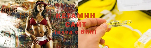прущие грибы Армянск