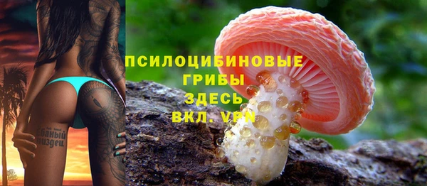 прущие грибы Армянск