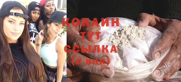 прущие грибы Армянск