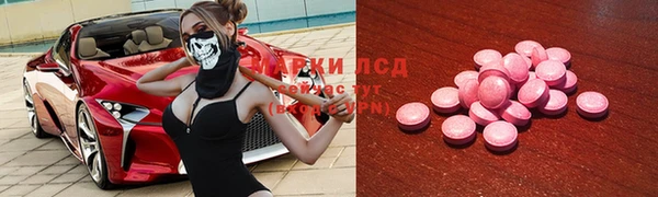 прущие грибы Армянск