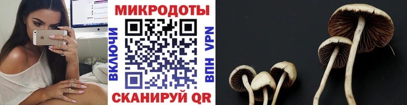 Галлюциногенные грибы прущие грибы  MEGA ССЫЛКА  Красногорск 