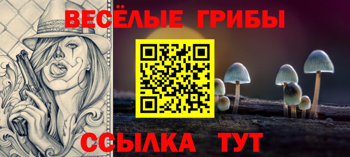 Красногорск  Галлюциногенные грибы Magic Shrooms  Вход с VPN 